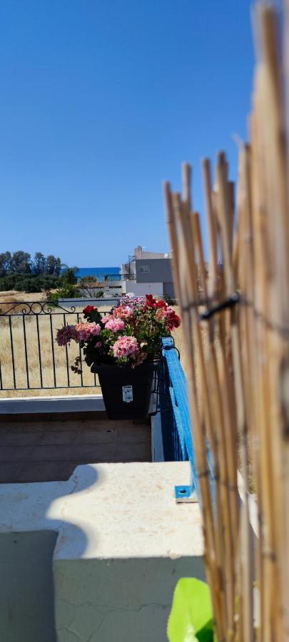 Thalassa Seaside Boutique Beach Apartment Polis Extérieur photo