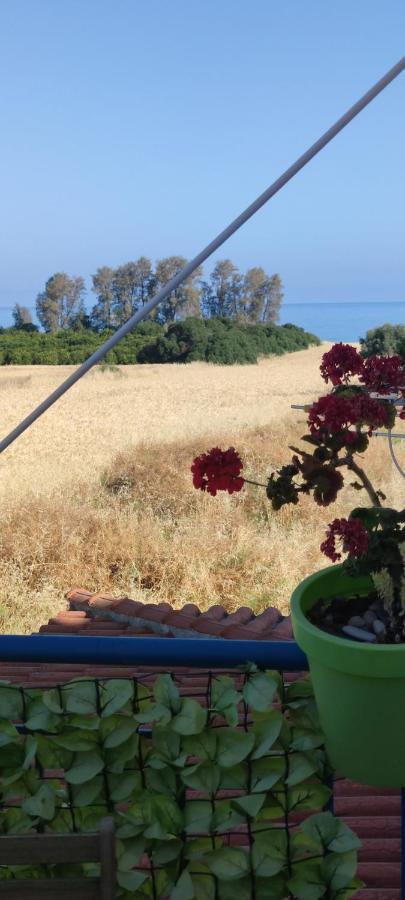 Thalassa Seaside Boutique Beach Apartment Polis Extérieur photo