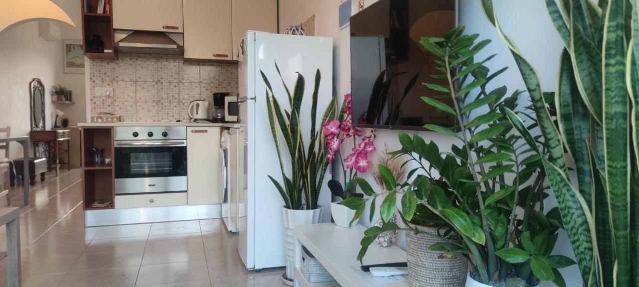 Thalassa Seaside Boutique Beach Apartment Polis Extérieur photo
