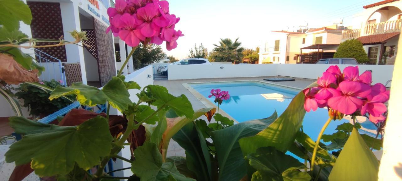 Thalassa Seaside Boutique Beach Apartment Polis Extérieur photo